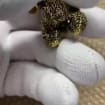 Handcrafted Brass Gorilla Figurine — Brass figurine image 2