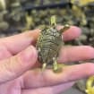 Vintage Brass Turtle Figurine — Brass figurine image 2